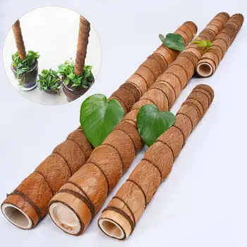 

40/50/60cm Flower Plant Vine Grow Climbing Support Pole Garden Palm Bark Stick