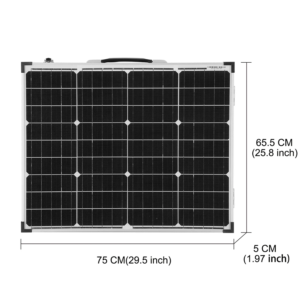 fsp-100m-12
