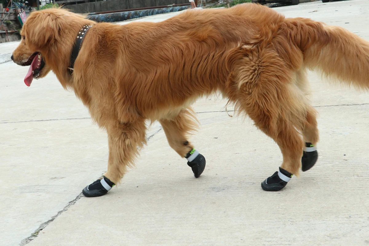 Рождественская Обувь для собак; Нескользящие мягкие светоотражающие ремешки; Всесезонная обувь; подходит для маленьких и больших собак; дышащая сетчатая обувь