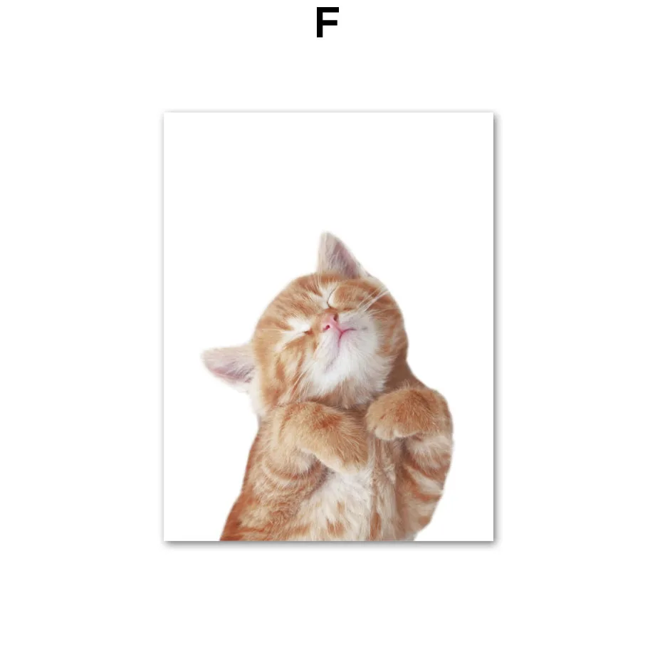 Wall-Art-Canvas-Painting-Funny-Cat-Gymnastics-Kitty-Nordic-Posters-And-Prints-Wall-Pictures-For-Living (9)