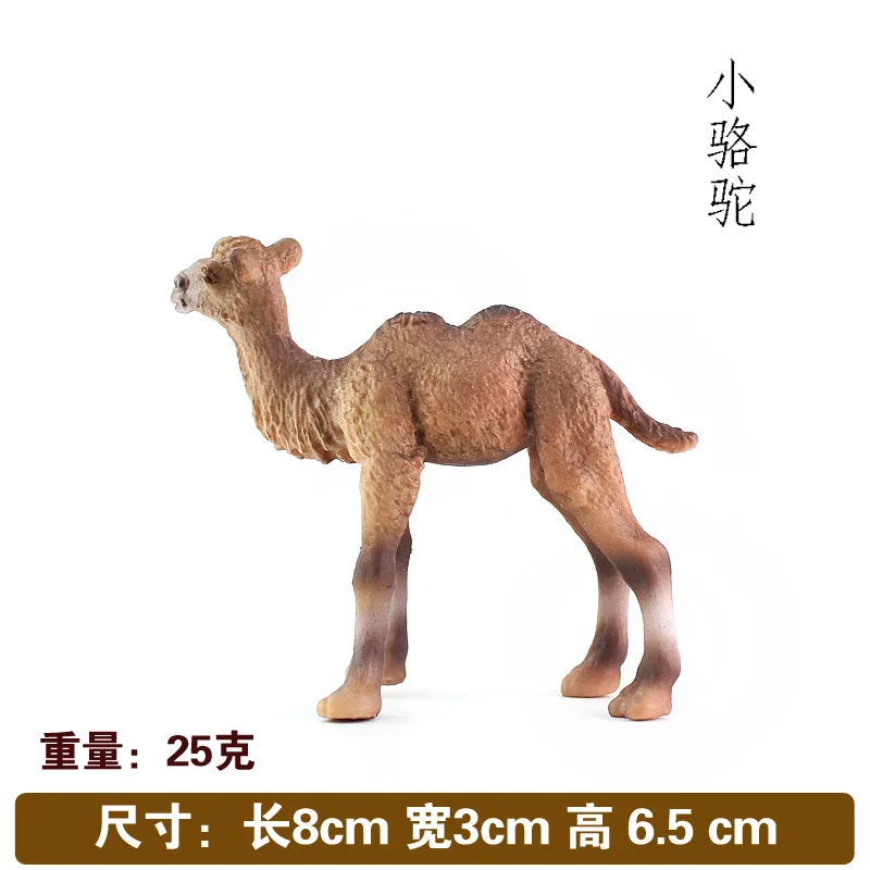 Cross Border Hot Sales Model Wild Animal Bimodal Small Camel Plastic Solid Static CHILDREN'S Toy Decoration Gift
