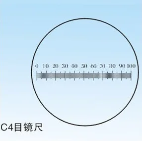 Portaobjetos De Calibración Para Microscopio - Retícula De Precisión 0.01 Mm - Vidrio, Para Medición Y Análisis Profesional