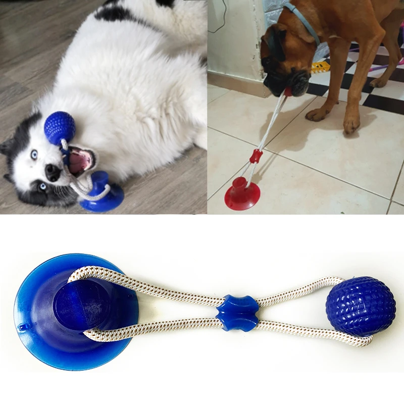 Kong juguetes interactivos con ventosa para perro, pelota empuje TPR para perros grandes, limpieza de dientes, masticar, morder, para para perro| - AliExpress