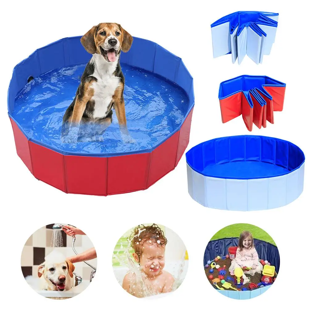 swimming dog bath toy