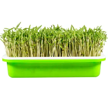 

New Hot Seed Sprouter Tray Soil-Free Large Capacity with Cover Seedling Tray Bean Sprout Plate Hydroponic SMR88