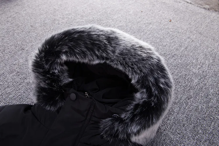 4552245544_368293243