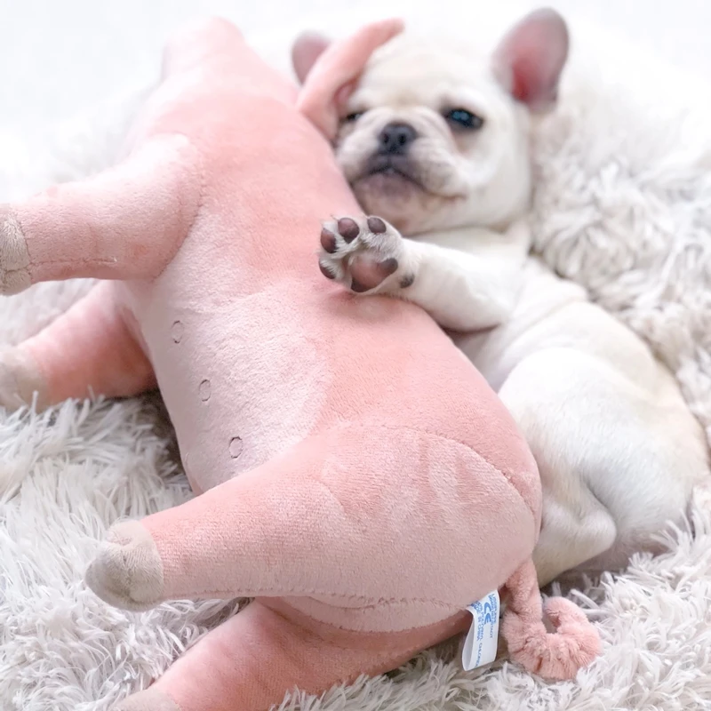 DogMEGA Pig Stuffed Toys for Dogs | Dog Toys Antistress