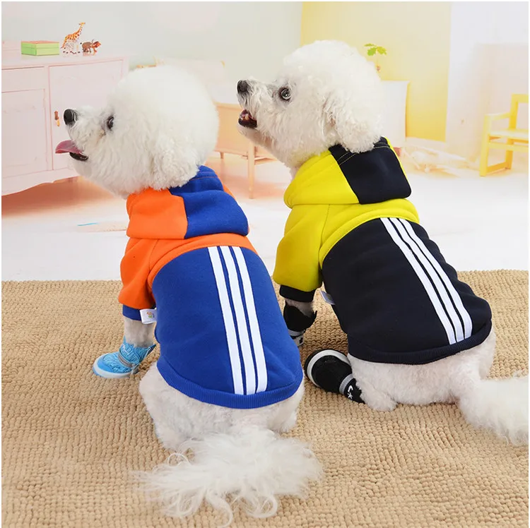 12176578037_1368698927