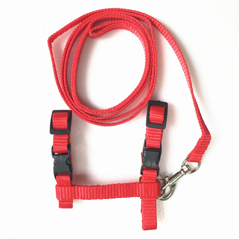 Pet Cat Collar Harness And Leash Adjustable Nylon Pet Traction Dog Kitten Halter Collar Cats Products For Cat Pet Harness Belt Pet Cat Collar Harness And Leash Adjustable Nylon Pet Traction Dog Kitten Halter Collar Cats Products For Cat Pet Harness Belt