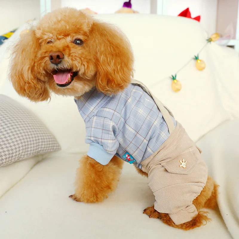 PETCIRCLE платье для домашних животных Тедди Померанский Бишон собака маленькая собака осень тонкие клетчатые трусы для студентов Одежда для собак