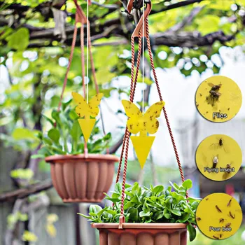 

1/5/10/15/20pcs Butterfly Sticky Trap Dual-sided Yellow Sticky Traps Fruit Fly Gnat Trap Yellow Sticky Trap Indoor Outdoor p2