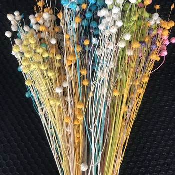 

30-35CM/50g Decorative Jequirity Branch,Natural Dried Flowers Bouquets,Mini Fruit Jumble-Beads,Farmhouse Home Decor Accessories