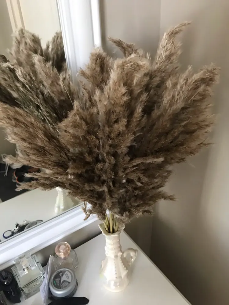 

5/10/20 Pcs Natural Pampas Grass Real Dried Plants Decor Wedding flowers decoration Bunch Natural Plants Decor Flowers Ornament