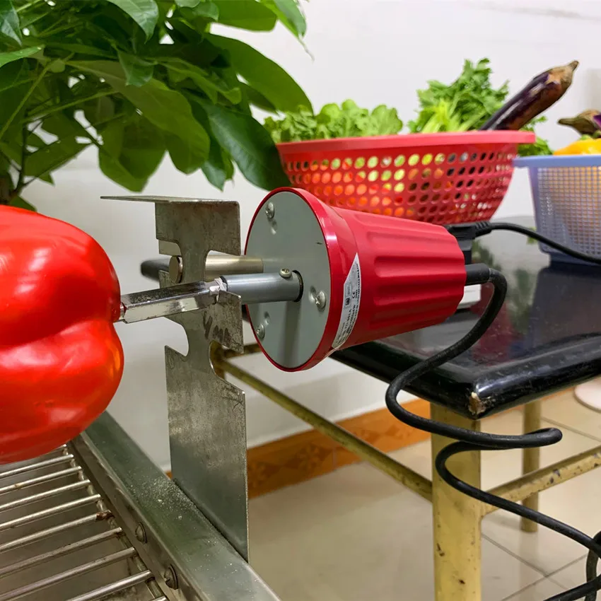 Electric Barbecue Rotisserie Roaster Motor Pike Rotator 220~240V Grill Motor BBQ Parts Grill Spit Motors Rotating BBQ,electric barbecue rotisserie