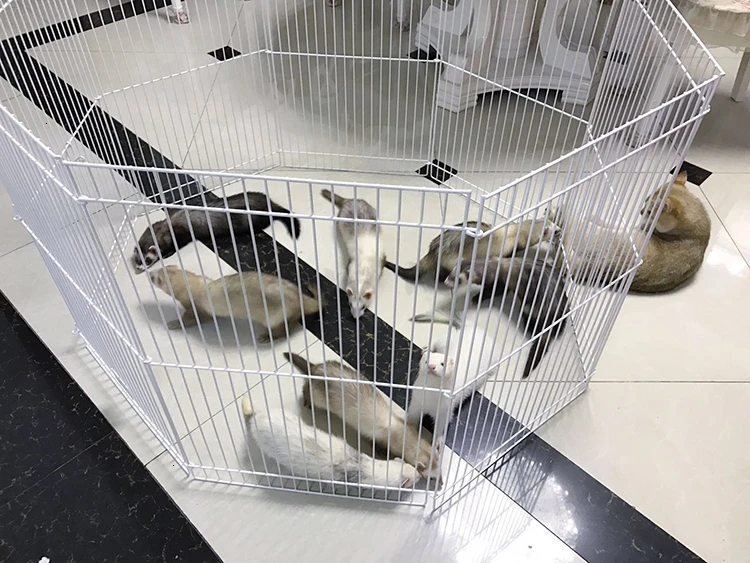 American Midwest Dragon Cat Fence Pet Ferret Wind Fence To Prevent Prison Break