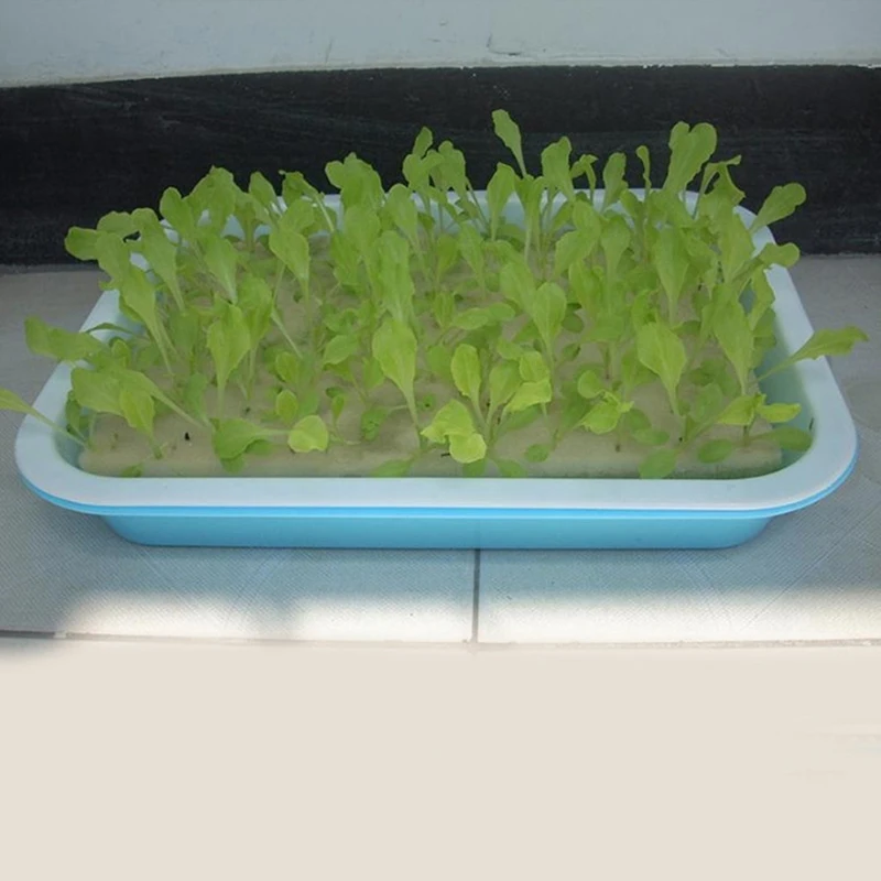 100 Pcs Soilless Hydroponic Vegetables Nursery Pots Nursery Sponge Culture Vegetable Planting Consumables Seedling Sponge Block