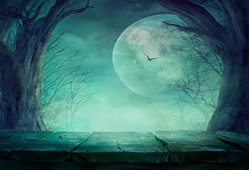 Halloween big moon backgrounds photography vinyl fabric Children Photo backdrops for photo Studio accessories photophone lv-2034 |