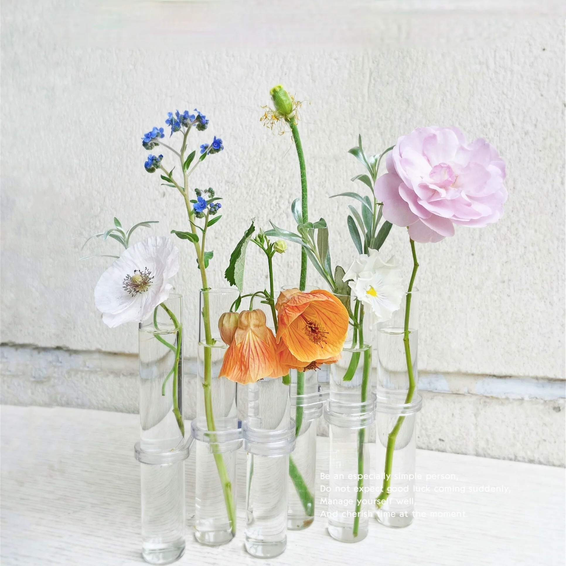 Clear Glass Vase Tubes Set Hanging Flower Holder Plant Container Flower