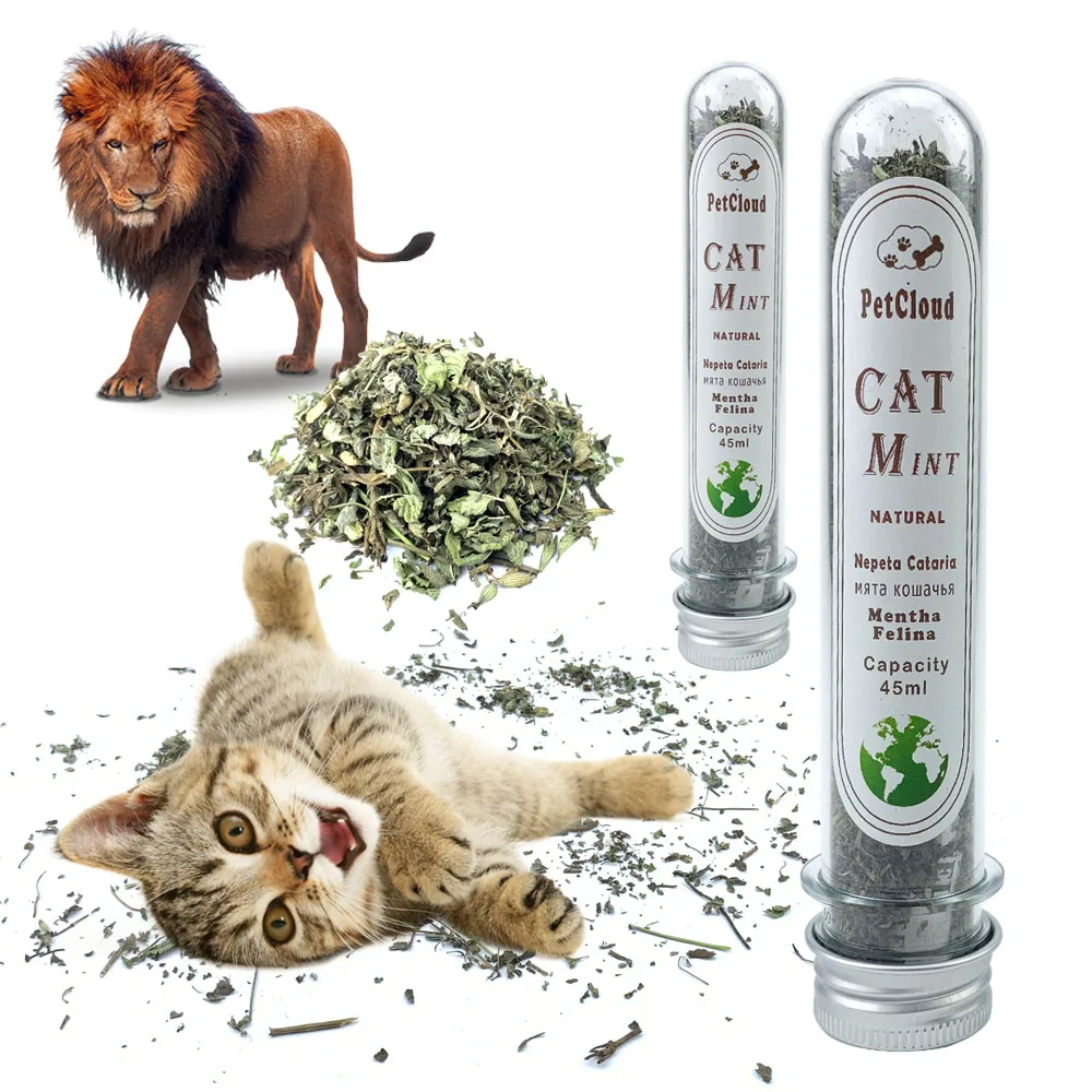 Vendedor Caliente Hierba gatera Natural orgánico menta gatuna prémium gato de juguete menta hierba mentol puede ser rociada en juguetes para gato Catmint gato de juguete suministros zOK0OmGLZ