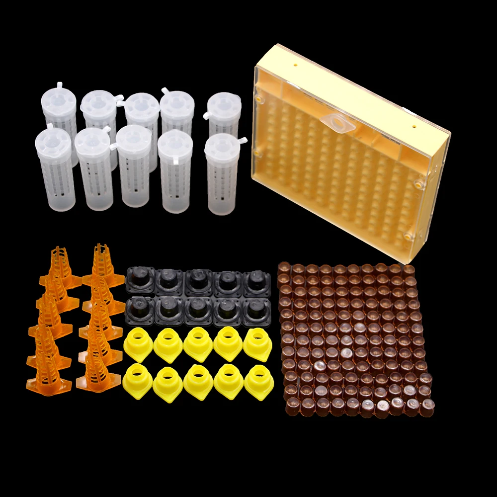 Caja de sistema de cría de abejas King y Queen, cubierta de protección de celdas de plástico, Kit de apicultura, suministros de herramientas de abejas, 1 Juego