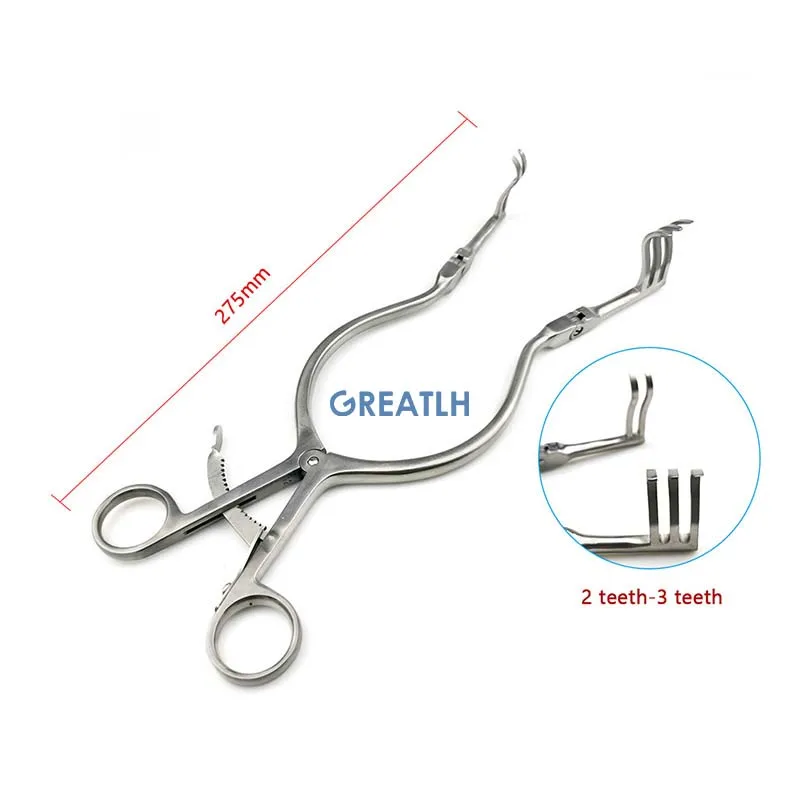 2 teeth-3 teeth