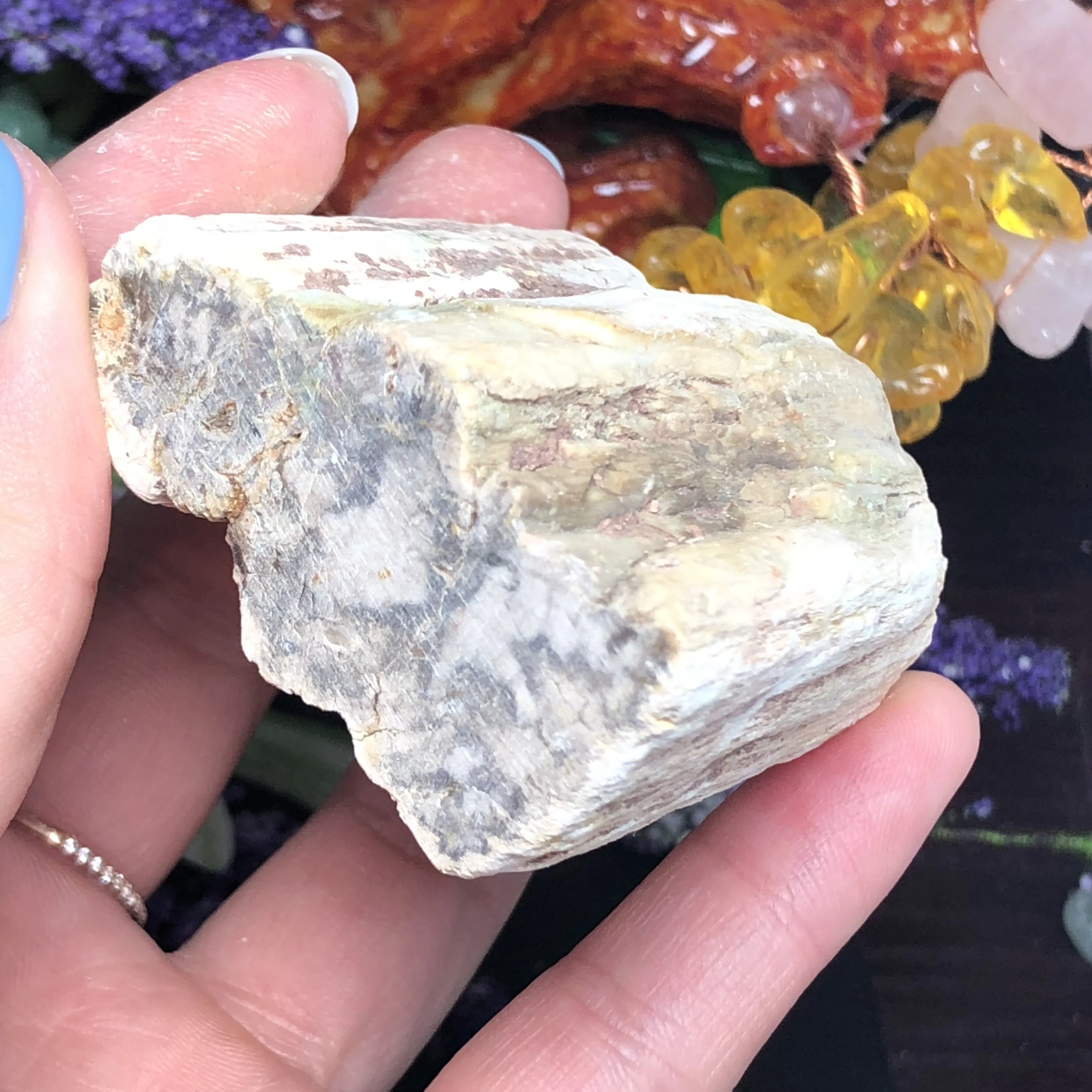 

Natural Wood Fossil Stone Palm Stone Crystal Stone Irregular Smooth Polished Pebble Reiki Healing Chakra Stone