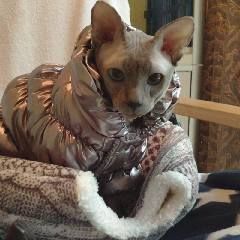 Теплый костюм Стивена кота Jumpruist для кошек Зимняя Одежда питомцев одежда Gotas Mascota