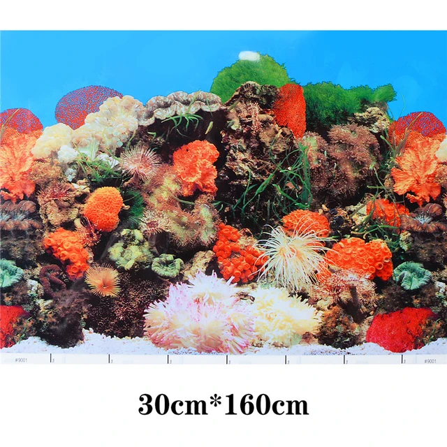 3D Aquarium Landsacpe Poster 30×160cm Fish Tank Background