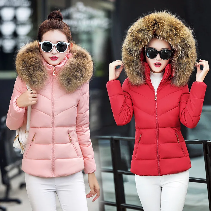 

Cotton-padded Clothes Women's Short 2018 Winter New Style Hooded Cotton-padded Jacket Korean-style Fur Collar Large Size Thick C