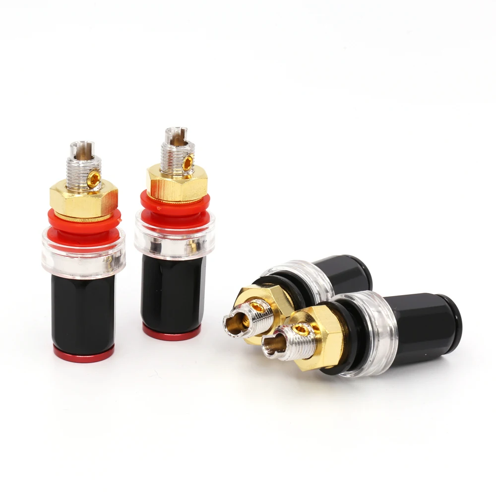 HTB1xZCelL2H8KJjy1zkq6xr7pXa0