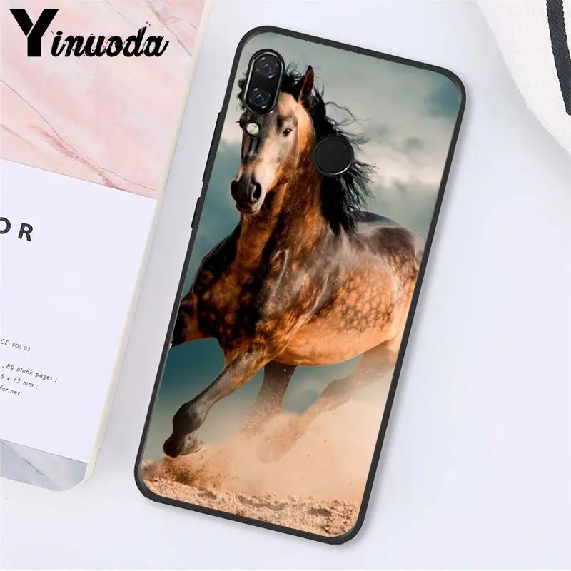 Running Horse Animal