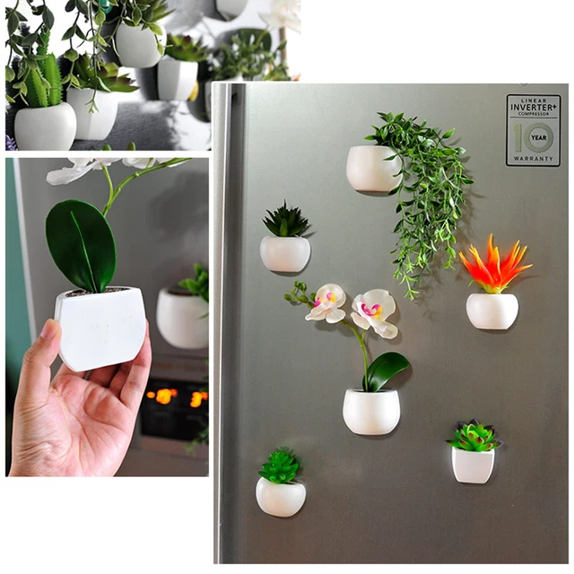 Plantes succulentes en pot 3D pour réfrigérateur, aimant de réfrigérateur, autocollants  portables mignons, décoration de la maison et de la cuisine - AliExpress