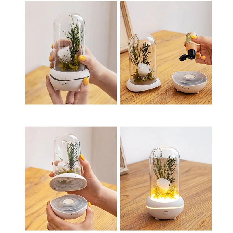 LED Night Lights USB Romantic Eternal Flower Fragrance Lights Colorful Fantasy Ambient Lights Colorful Ambient Lights Rose 30S26 (7)