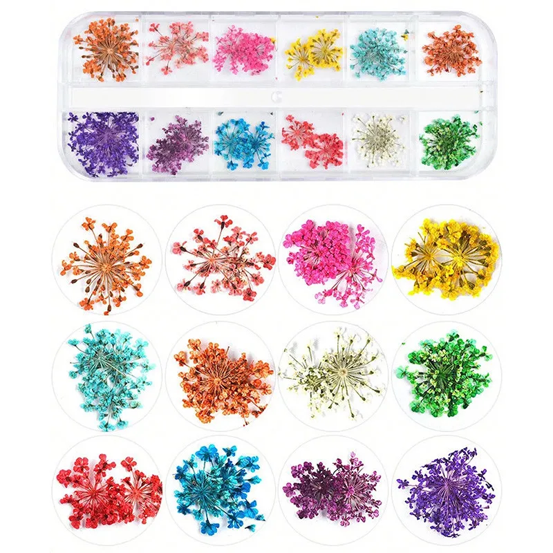 

1Box Pressed Dried Mini Flower Dry Plants for Epoxy Resin Pendant Necklace Epoxy Mold Filling Jewelry Making Craft Decoration
