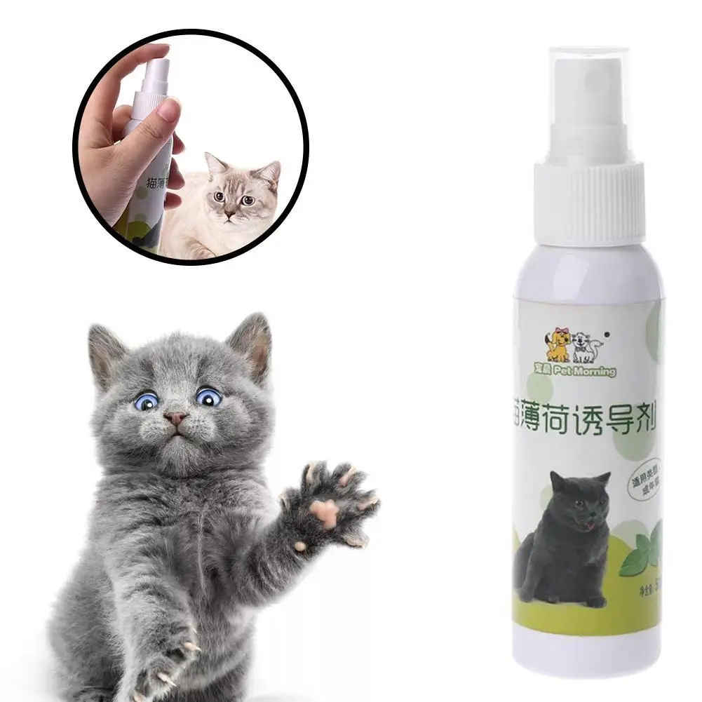 50ml Catnip Spray Cat Excitement Toy Cat Organic Natural Scratch Healthy Inducer Catnip Funny Scratch Toy