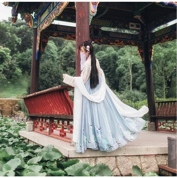 Hanfu Dress Women Traditional Chinese Clothes Embroidered Ancient Folk Dance Costume Tang Dynasty Princess for Stage Folk Dance Costume Tang Dynasty Princess for Stage Performance