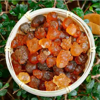 

Premium Natural Peach Gum, Peach Resin