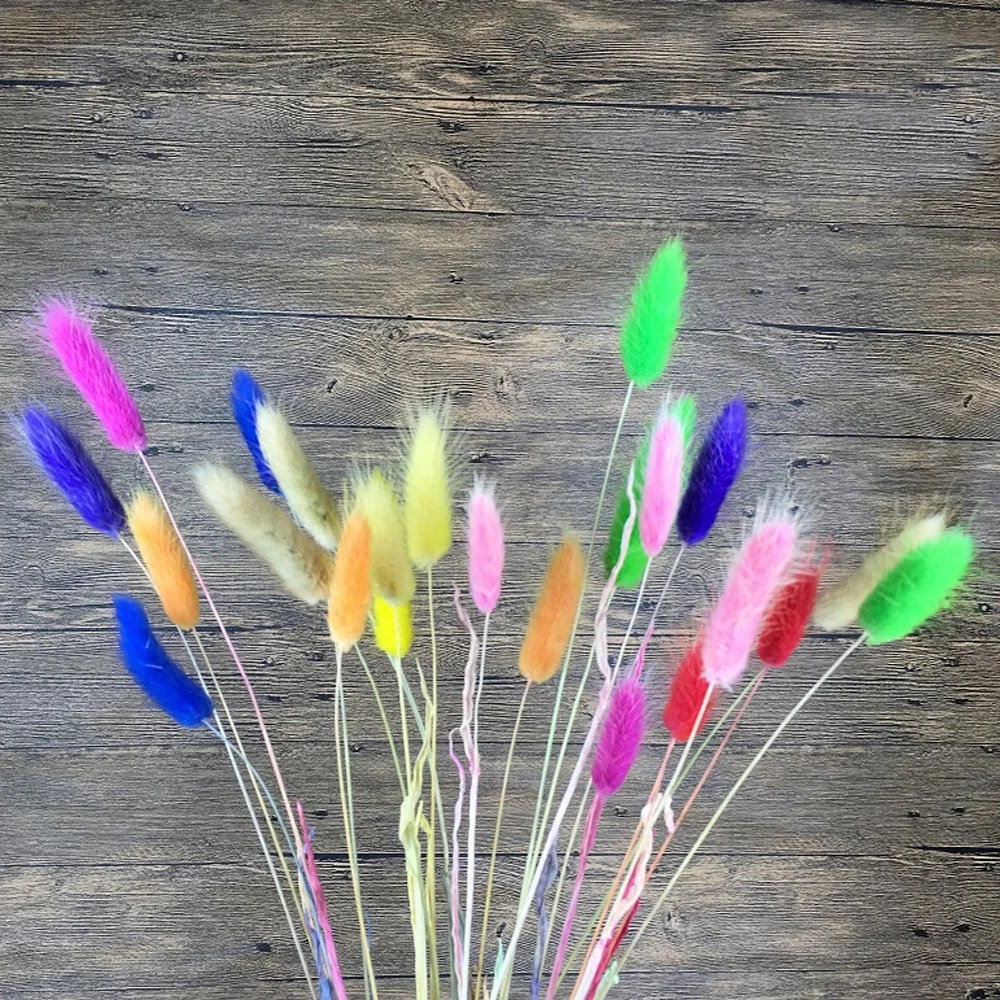 TB1Ehb.NXXXXXbIXXXXYXGcGpXX_M2副本