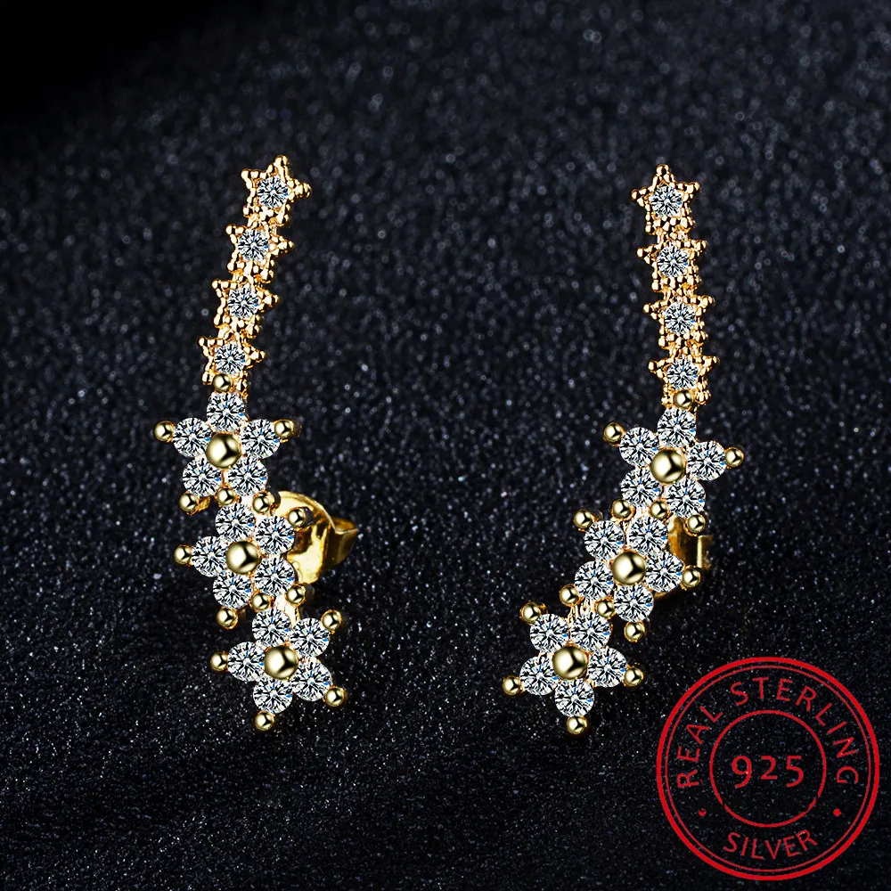 Earrings on Display