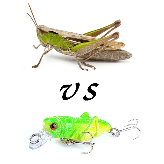 4PCS Fishing Lure Artificial Lifelike Locust Grasshopper Lures
