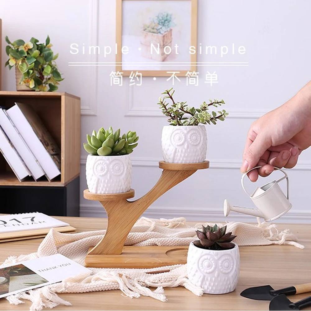 

Simple White Creative Succulents Ceramic with Treetop Bamboo Frame ZAKKA Combination Potted Flowerpot Tabletop Home Bonsai Decor