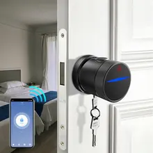 Serrure de porte électrique sans clé, serrure numérique à empreintes digitales, Tuya Smart, serrure de poignée de porte 