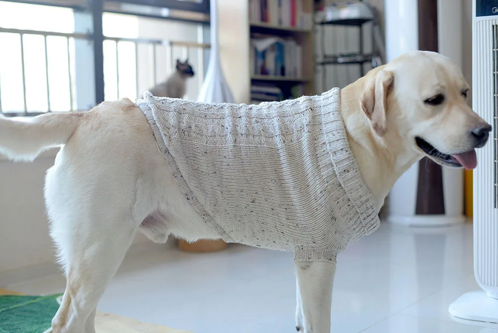 [MPK Dog свитер] шерстяной свитер для маленьких и средних собак Лабрадора одежда 4