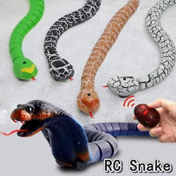 RC Snake Toys for Kids Novelty Gag Adult Halloween Pranks Girl Child Funny Gift Remote Control Animal Spider Electric Toy Robots
