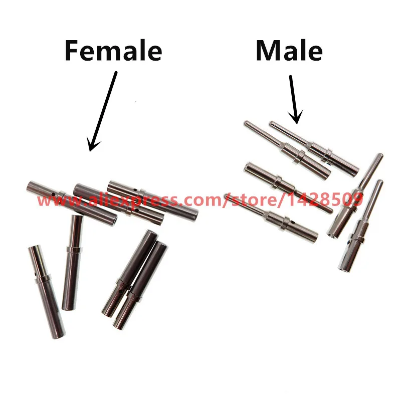 pino femea masculino de 50 pces 01