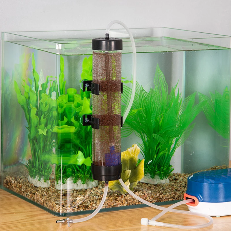 

Fish Tank Shrimp Fishes Eggs Incubator Hatchery Kit Brine Shrimp Eggs Hatcher Incubator Aquarium Hatchery Farming Accessories