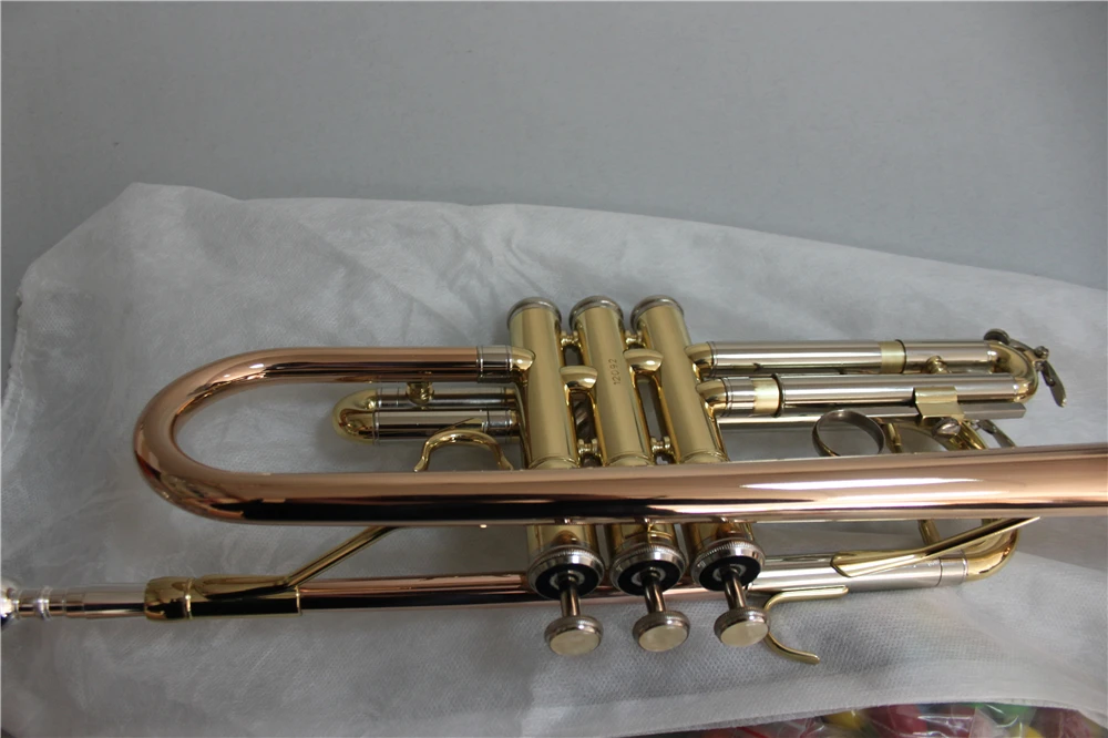 TR8645L (6)
