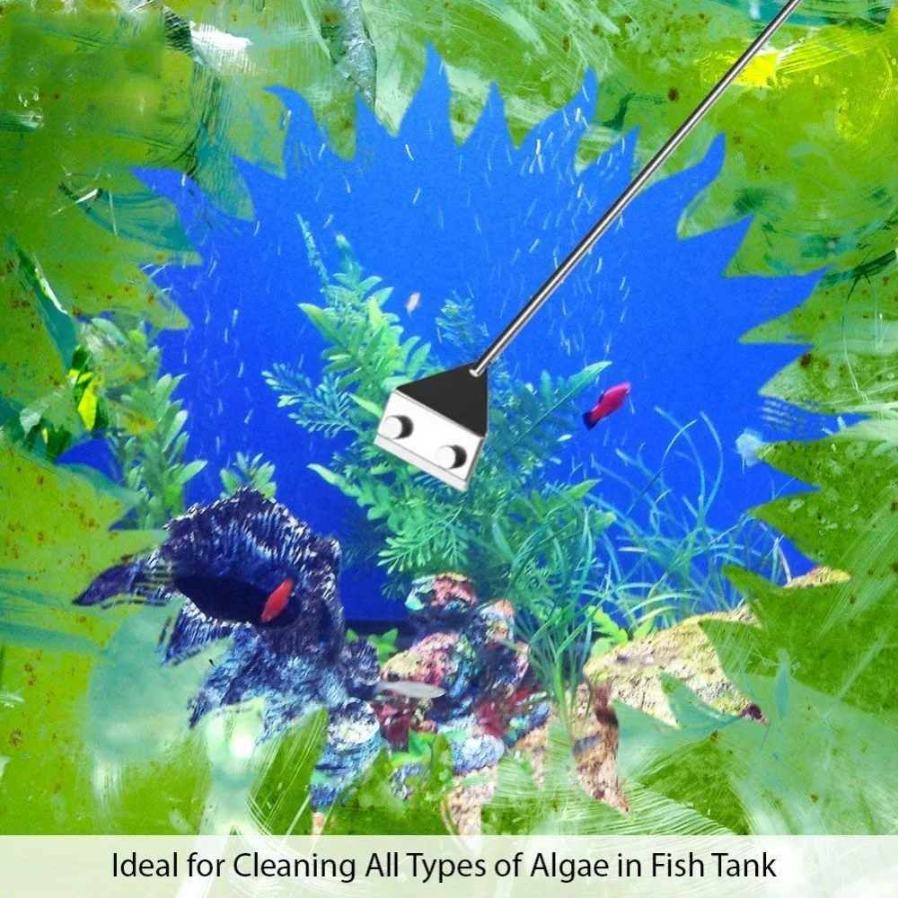 71v5LquSZaL._SL1001_