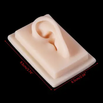 

Human Soft Silicone Left Ear Model Life Size Acupuncture Study Practice Tool Teaching Resources For Medical Science