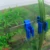 1/2PC Home Brew Bucket Clip Pipe Syphon Tube Flow Control Wine Beer Clamp Fish Aquarium Filtration Water Pipe Filter Hose Holder